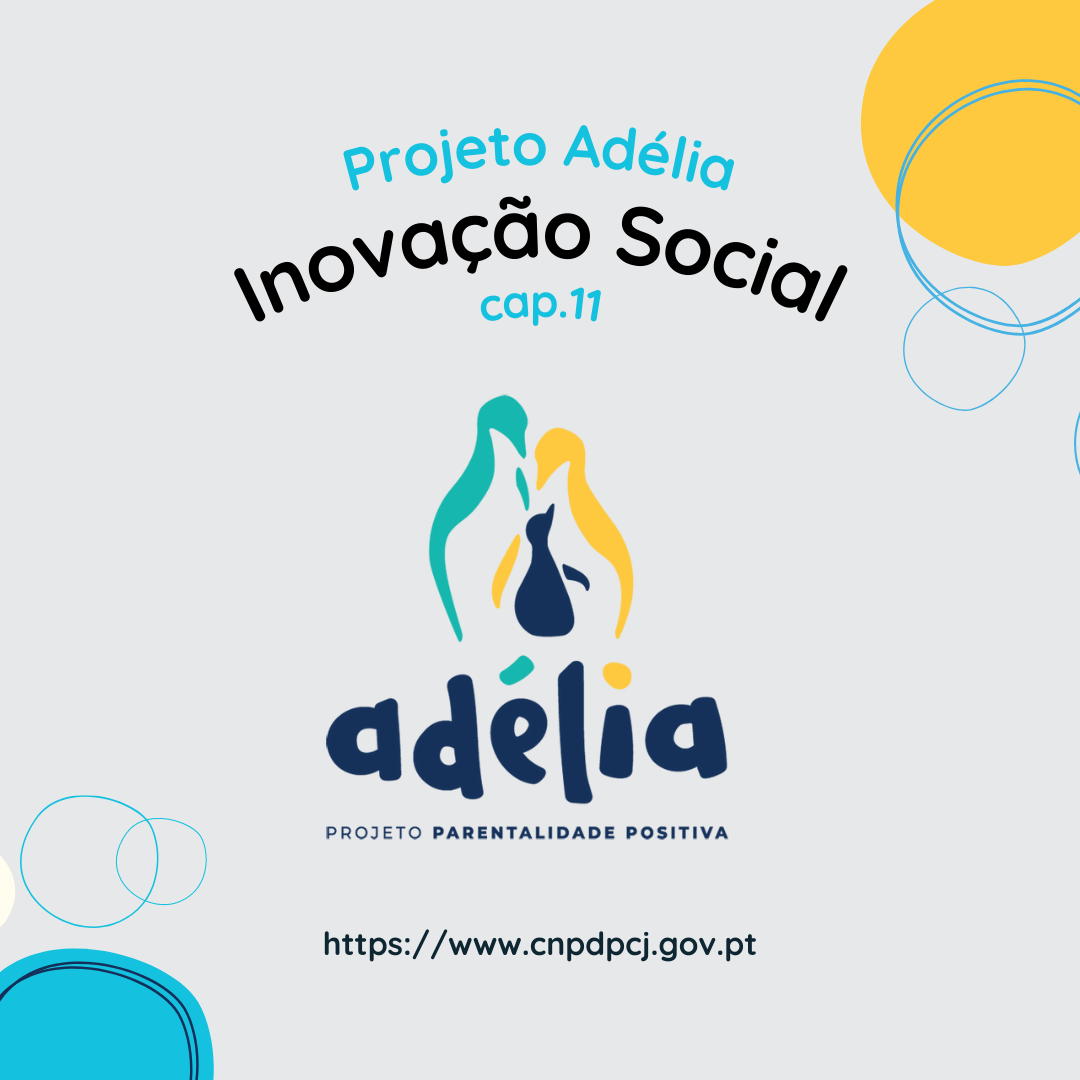 inovação social cap 11