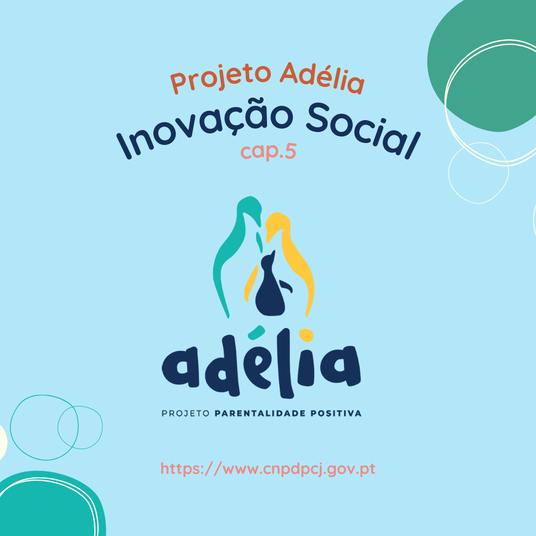 inovação social cap 5